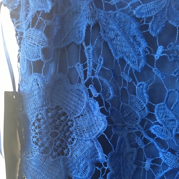 S ZARA Cobalt Blue Lace Dress - Picture 5 of 8